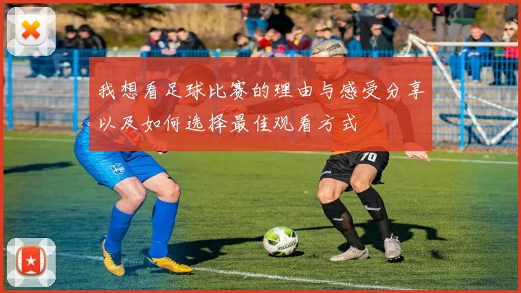 我想看足球比赛的理由与感受分享以及如何选择最佳观看方式