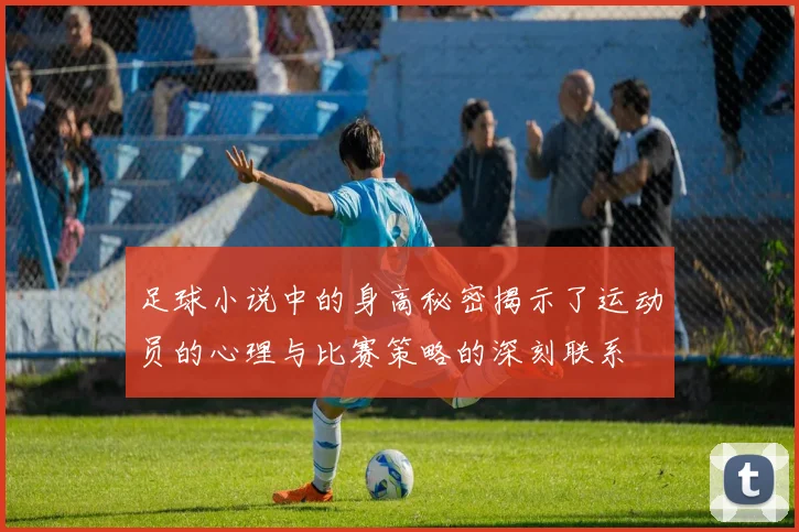 足球小说中的身高秘密揭示了运动员的心理与比赛策略的深刻联系